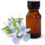 Patchouli 기름 및 그것의 유리한 재산
