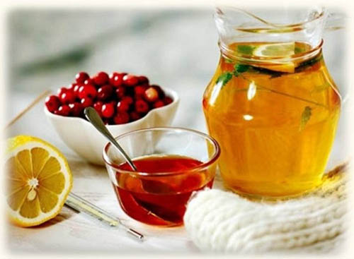 Bearberry : 약용 속성, 응용, 사진